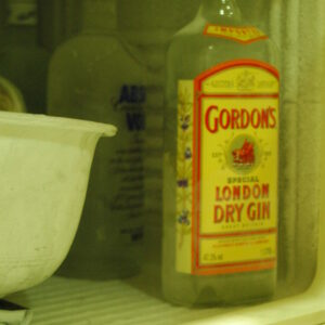 Gordon's Dry Gin (Bottle)